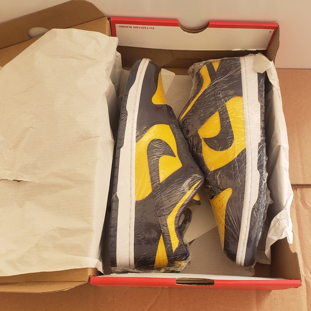 Nike Dunk Low MICHIGAN Size 10